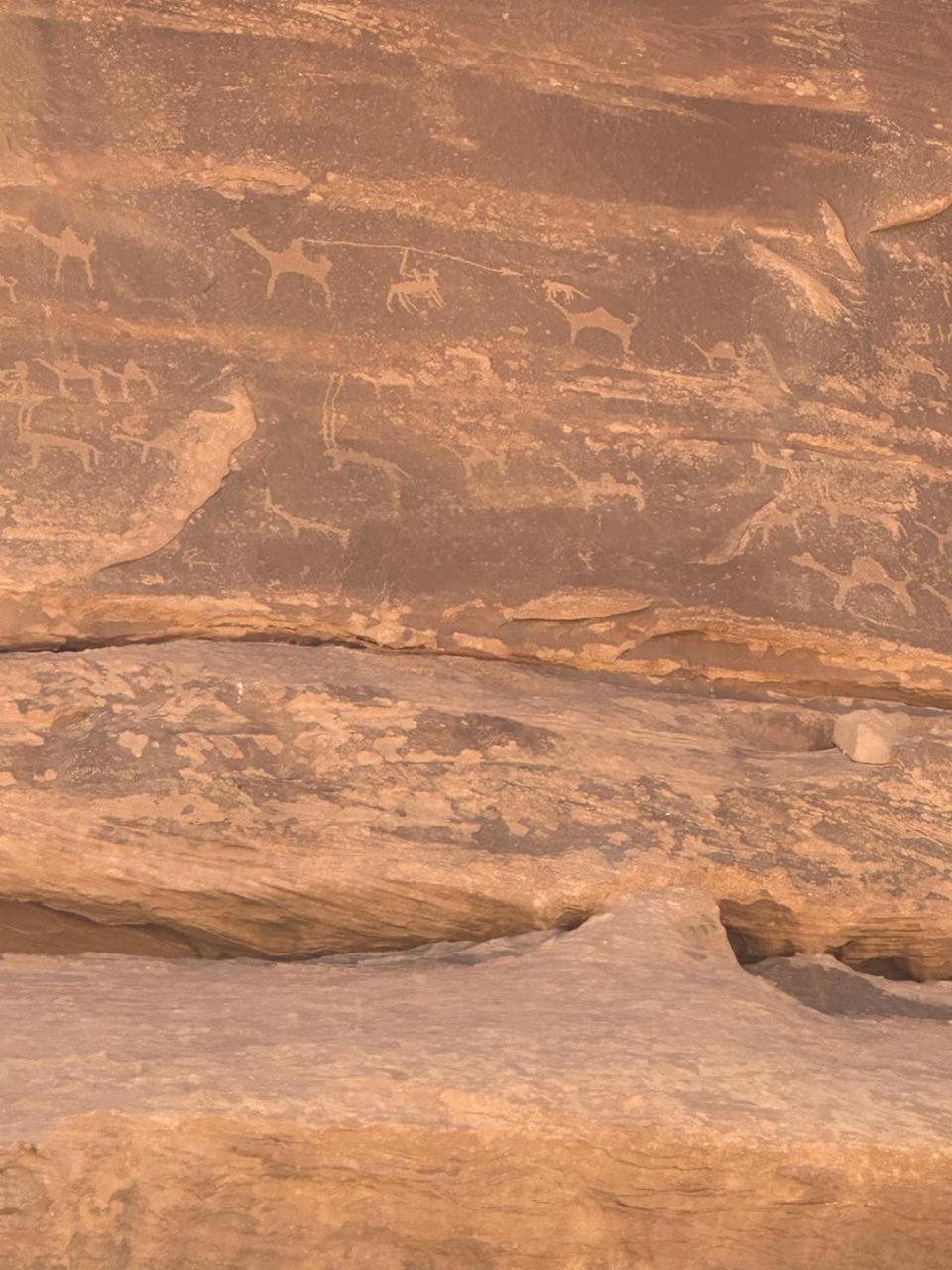 Star Magic Camp Hotel Wadi Rum Exterior photo
